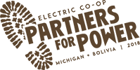 Partners For Power Logo