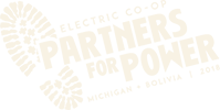 Partners For Power Logo